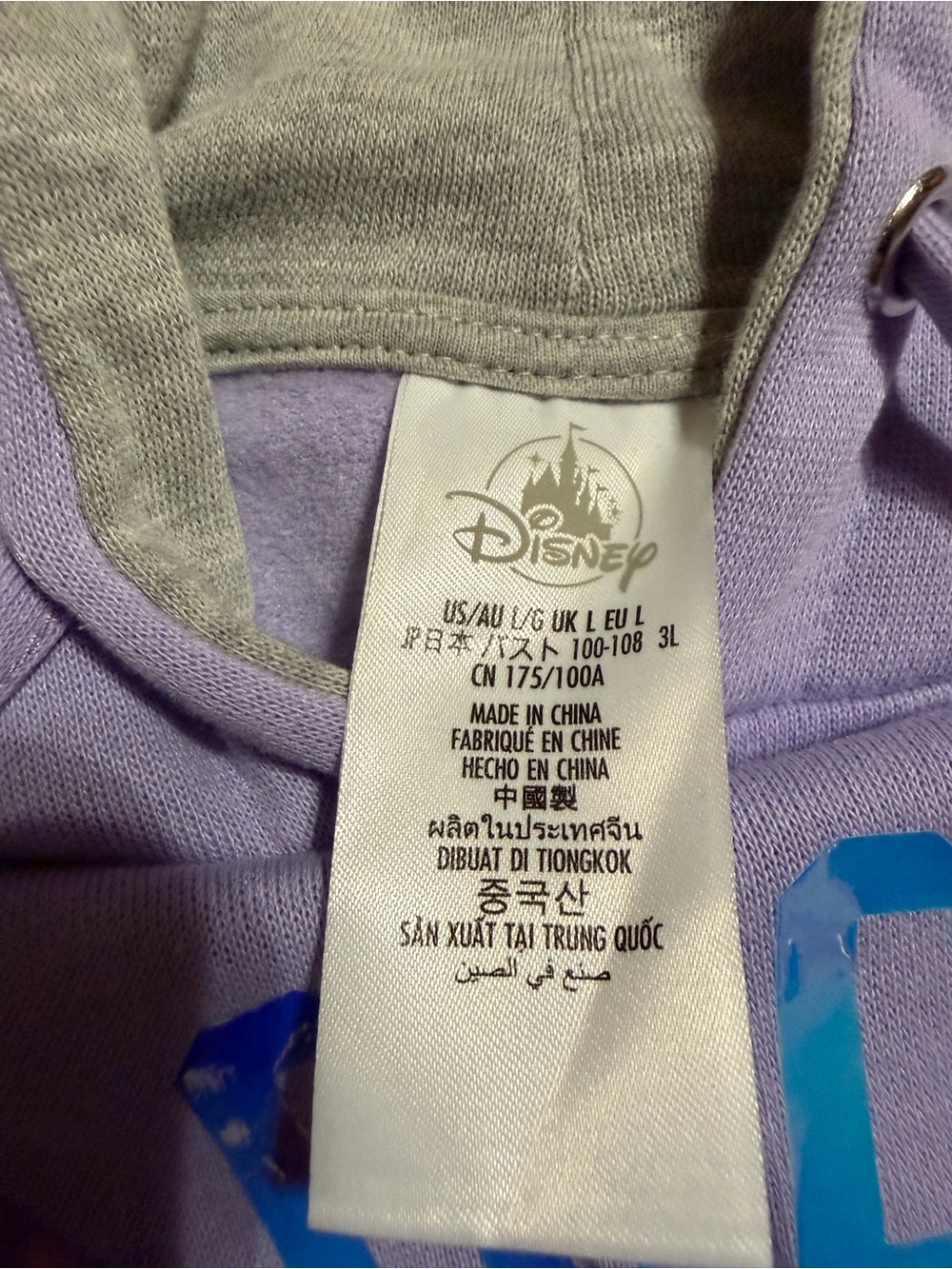 Disney Lavender Pullover Hoodie with Iridescent Castle Graphic - Picture 4 of 4